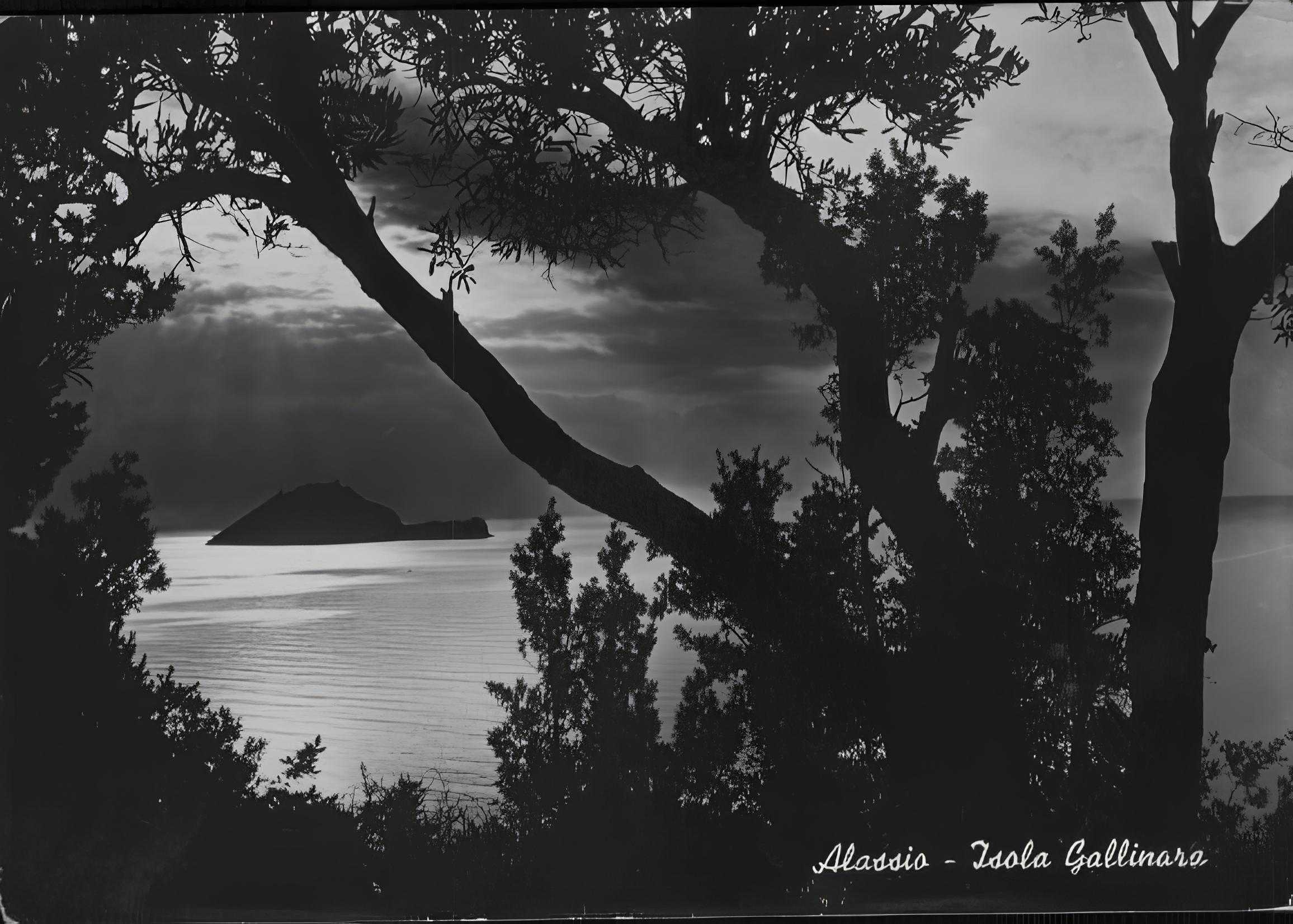 Copertina Mariagiorgia Ulbar Transcontinentale La collana Isola Copertina Mariagiorgia Ulbar Transcontinentale La collana Isola